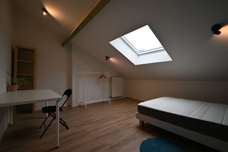 Chambre dans colocation